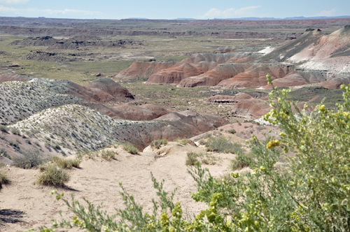 the Painted Desert as seen from Nizhoni Point